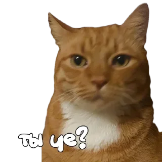 Стикер Hot minka - 0