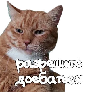 Стикер Hot minka - 6