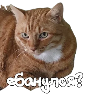 Стикер Hot minka - 3