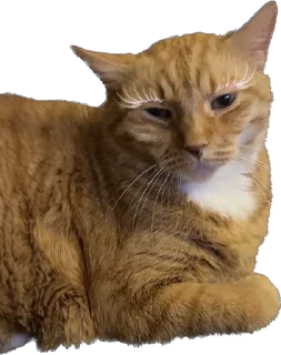 Стикер Hot minka - 1