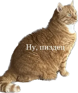 Стикер Hot minka - 10