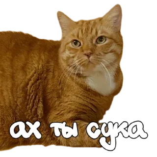 Стикер Hot minka - 4