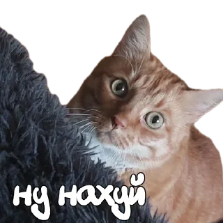 Стикер Hot minka - 8