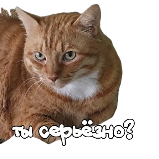 Стикер Hot minka - 2