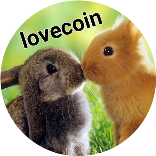 млекопитающее животное кролики и зайцы