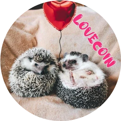 мех животное млекопитающее