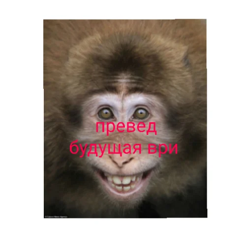 мир троллинга - 