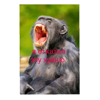 Sticker мир троллинга - 0