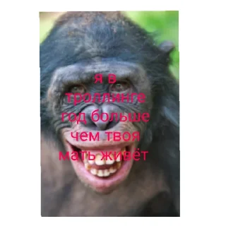 Sticker мир троллинга - 4