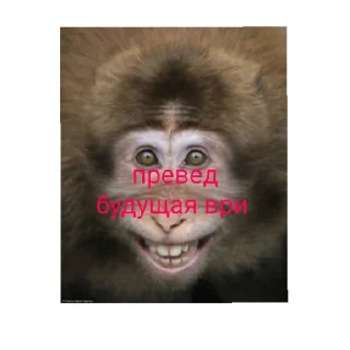 Sticker мир троллинга - 5