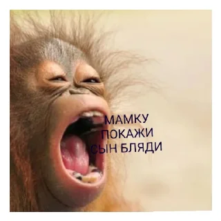 Sticker мир троллинга - 1