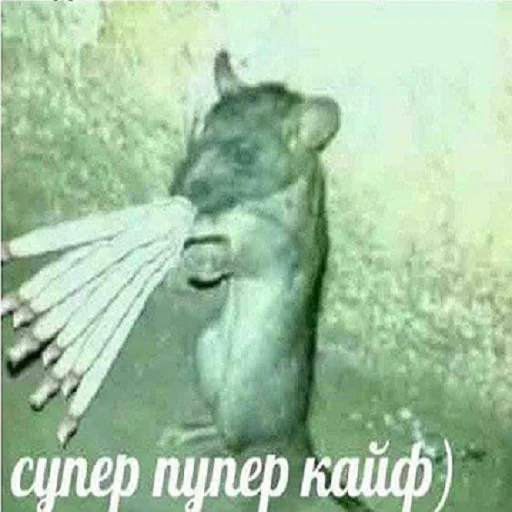 животное млекопитающее СМС