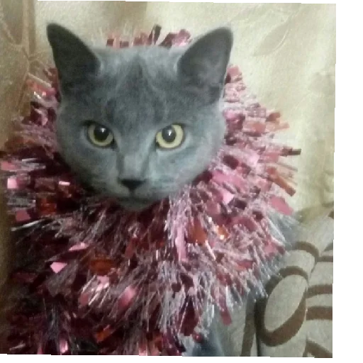 Стикер Miroslava28 - 1