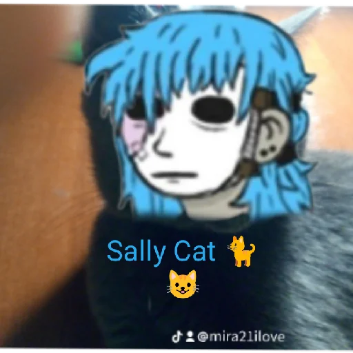 Sticker Miroslava28 - 1