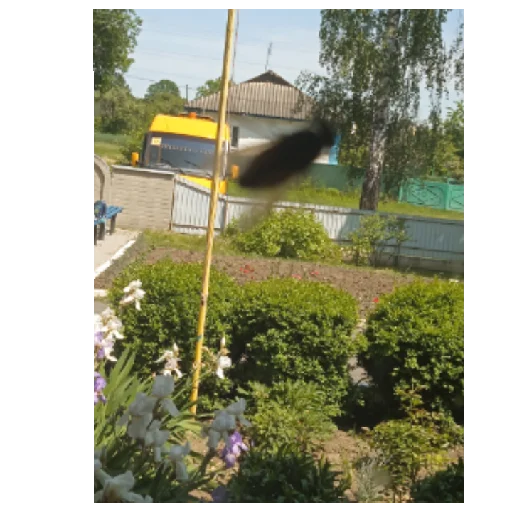 Sticker Miroslava28 - 1