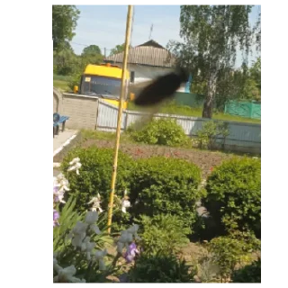 Sticker Мирослава 😰😰😰 - 0