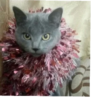 Sticker Мирослава 😰😰😰 - 5