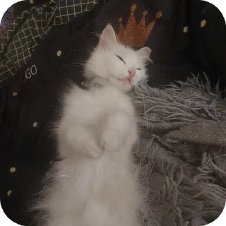 Стикер Мируня - 8