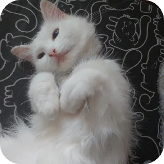 Стикер Мируня - 4