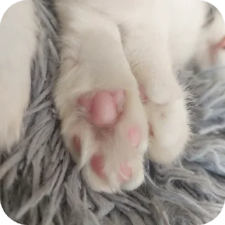 Стикер Мируня - 1