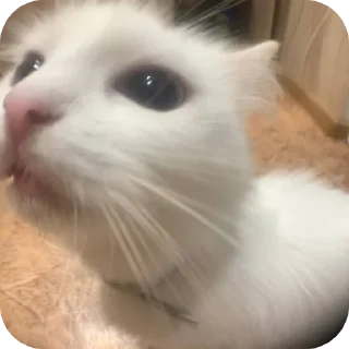 Стикер Мируня - 0