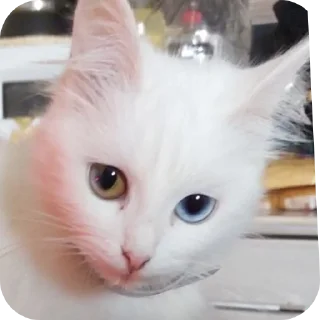 Стикер Мируня - 2