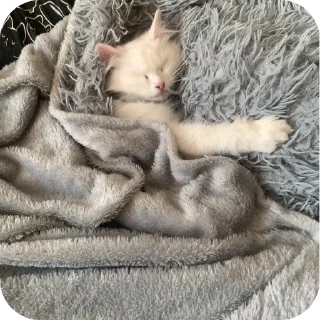 Стикер Мируня - 10