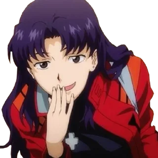 Капитан Кацураги - аниме