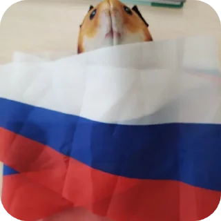 Стикер Мишааааааааааааааааа - 6