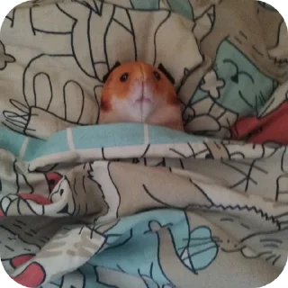 Стикер Мишааааааааааааааааа - 2