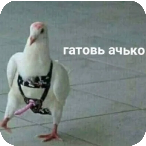 Sticker Mishanka53 - 1