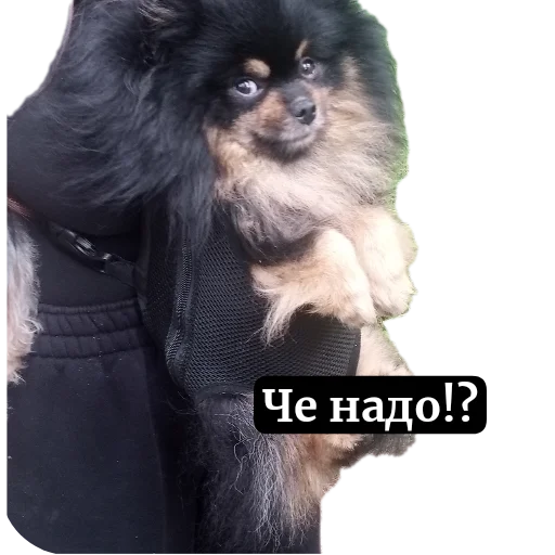 Sticker Mishanka53 - 1