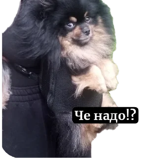 Sticker Мишанька - 4