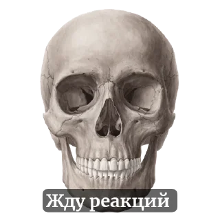 Sticker Мишанька - 9