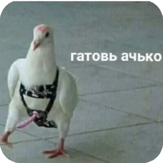 Sticker Мишанька - 5