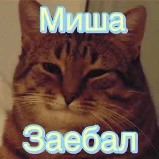 Sticker Мише - 0