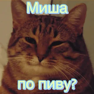 Sticker Мише - 7