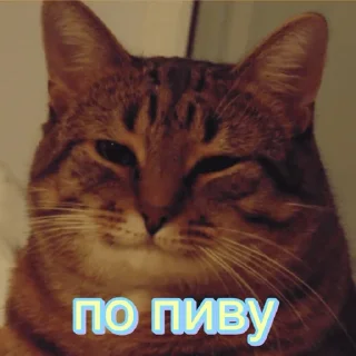 Sticker Мише - 2