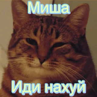 Sticker Мише - 3