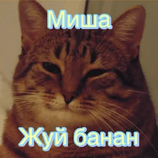 Sticker Мише - 1