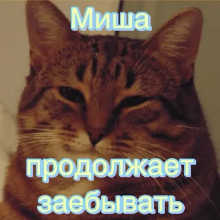Sticker Мише - 4