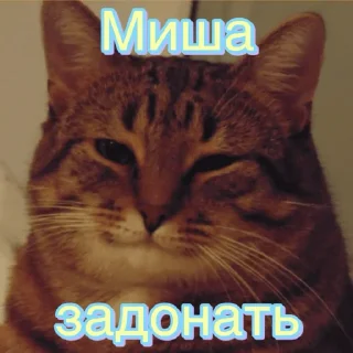 Sticker Мише - 5