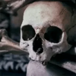 Стикер MishkaKolos Pack - 6