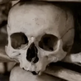 Стикер MishkaKolos Pack - 3