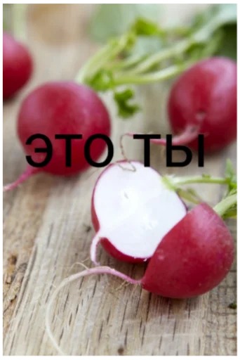 Веселуха вечером - 