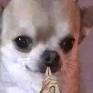 Стикер Твоя любовь - 0