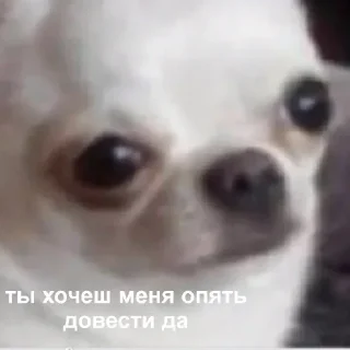 Стикер Твоя любовь - 10