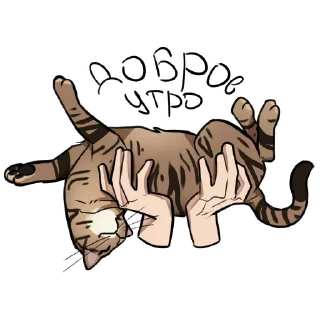 Sticker Миссис Пимпл - 2