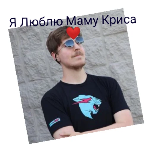 Мистер бист - 