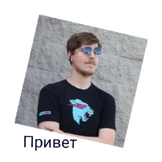 Стикер Мистер бист - 3